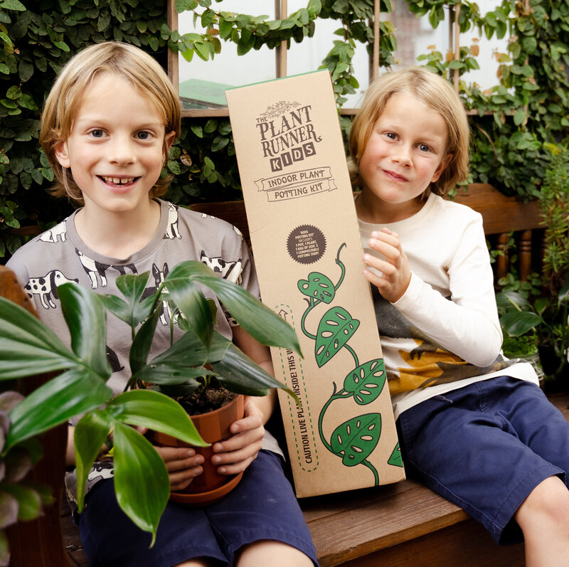 Kids Indoor Plants