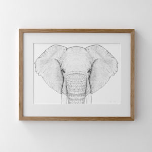 Elephant Nursery Artwork